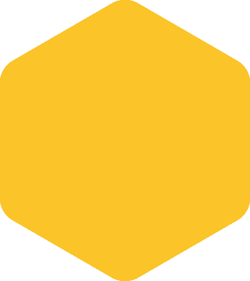 https://www.pantex.com.au/wp-content/uploads/2024/10/hexagon-yellowhuge.png